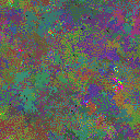 World at epoch 48000