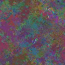World at epoch 49000
