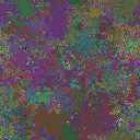 World at epoch 50000
