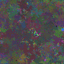 World at epoch 31000