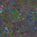 World at epoch 38000