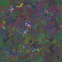 World at epoch 39000