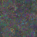 World at epoch 37000