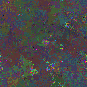World at epoch 35000