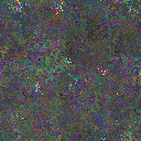 World at epoch 39000