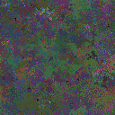 World at epoch 35000