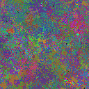 World at epoch 37000