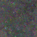 World at epoch 53000