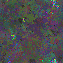 World at epoch 40000