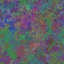 World at epoch 39000