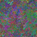 World at epoch 40000