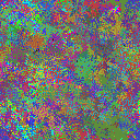 World at epoch 40000
