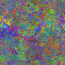 World at epoch 38000