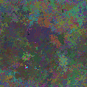 World at epoch 25000