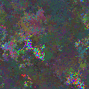 World at epoch 29000