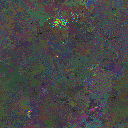 World at epoch 31000
