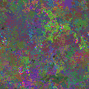 World at epoch 49000