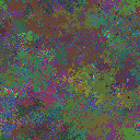 World at epoch 49000