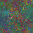 World at epoch 49000