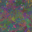 World at epoch 51000