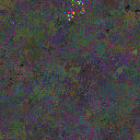 World at epoch 40000