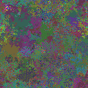 World at epoch 55000