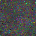World at epoch 48000