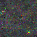 World at epoch 48000