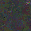 World at epoch 31000
