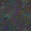 World at epoch 49000