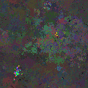 World at epoch 25000