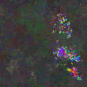 World at epoch 44000