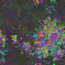 World at epoch 48000