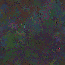 World at epoch 25000