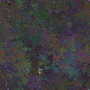 World at epoch 38000