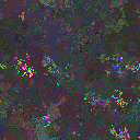 World at epoch 40000
