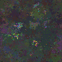 World at epoch 38000