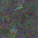 World at epoch 40000