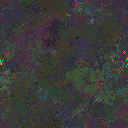 World at epoch 31000