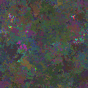 World at epoch 31000