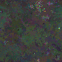 World at epoch 33000