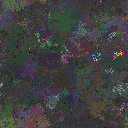 World at epoch 48000