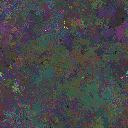 World at epoch 50000
