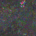 World at epoch 49000