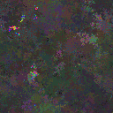 World at epoch 50000
