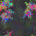 World at epoch 49000