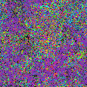 World at epoch 1000