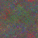 World at epoch 17000