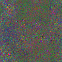 World at epoch 19000