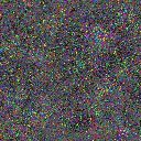 World at epoch 10000